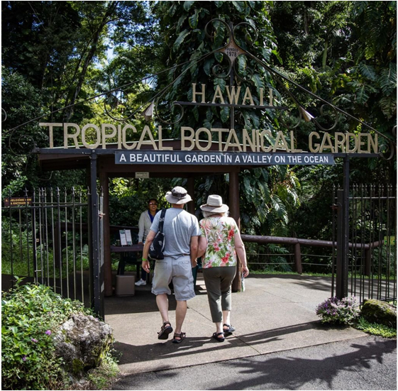 are dogs allowed at hawaii tropical botanical garden