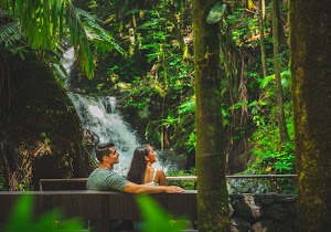 Hawai‘i Tropical Botanical Garden place picture