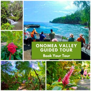Onomea Valley Guided Tour