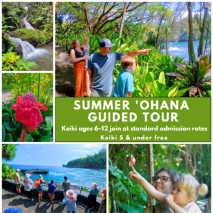 Guided Tour Family Special