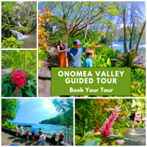 Onomea Guided Tour-Family